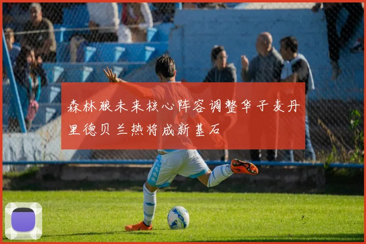 森林狼未来核心阵容调整华子麦丹里德贝兰热将成新基石